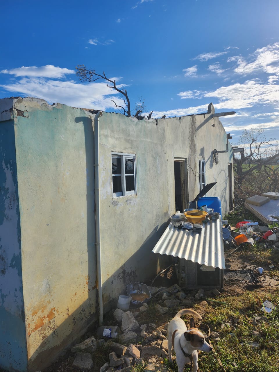 whatsapp-image-2026-02-28-at-123700